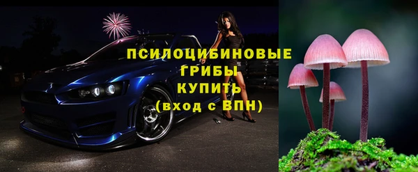 амф Балахна