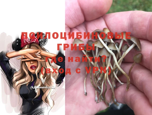PSILOCYBIN Пестово