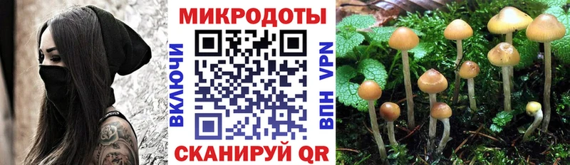 Галлюциногенные грибы мухоморы  где купить наркотик  Теберда 