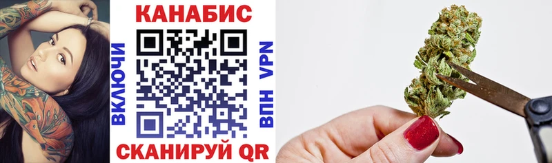 Каннабис MAZAR  Теберда 
